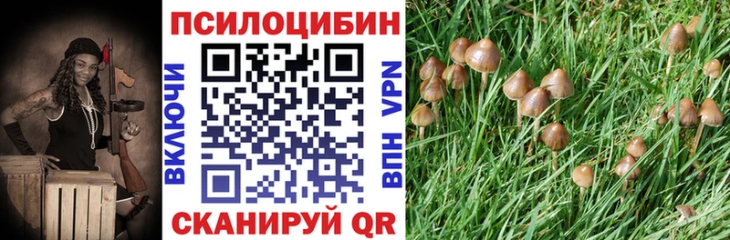 Галлюциногенные грибы мицелий  продажа наркотиков  Ревда 