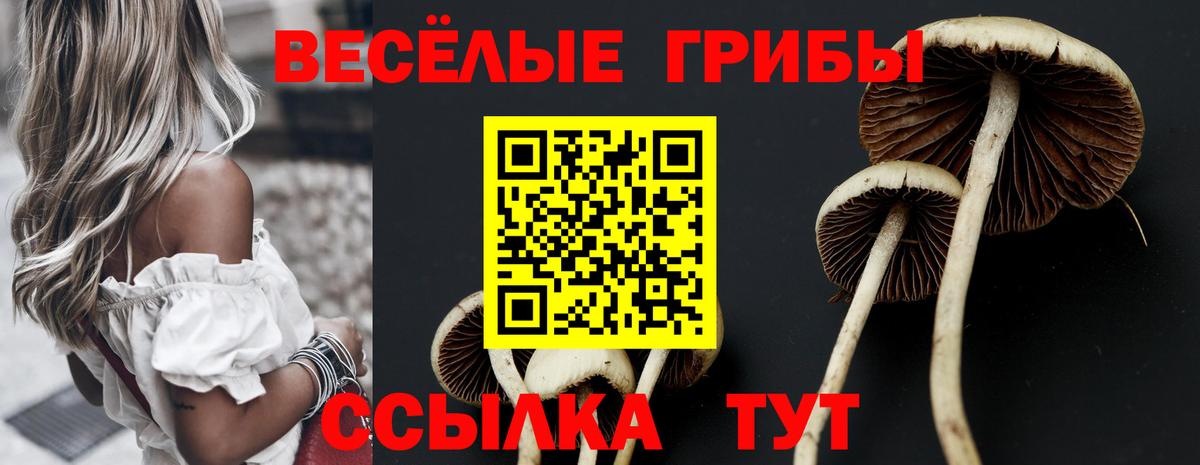 Галлюциногенные грибы MAGIC MUSHROOMS Ревда
